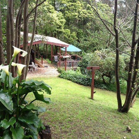 Stone'S Throw Cottage Bed And Breakfast Stadtteil Stadtteil Belgrave Exterior foto