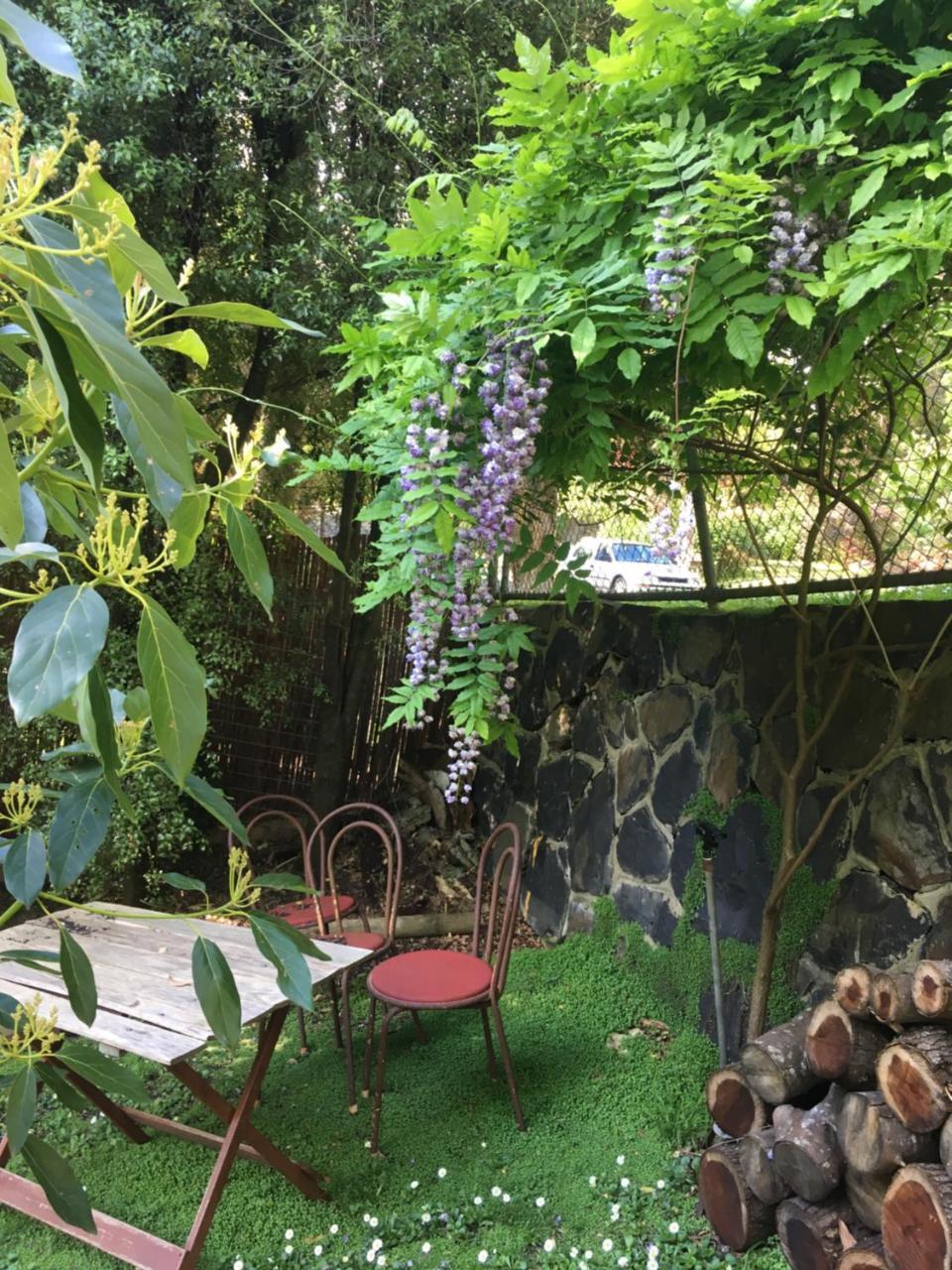 Stone'S Throw Cottage Bed And Breakfast Stadtteil Stadtteil Belgrave Exterior foto